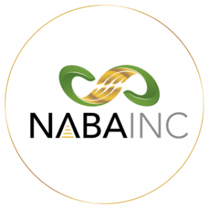 National Association of Black Accountants