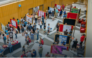 OWU Summer Scholarship and Research Program (SSRP)